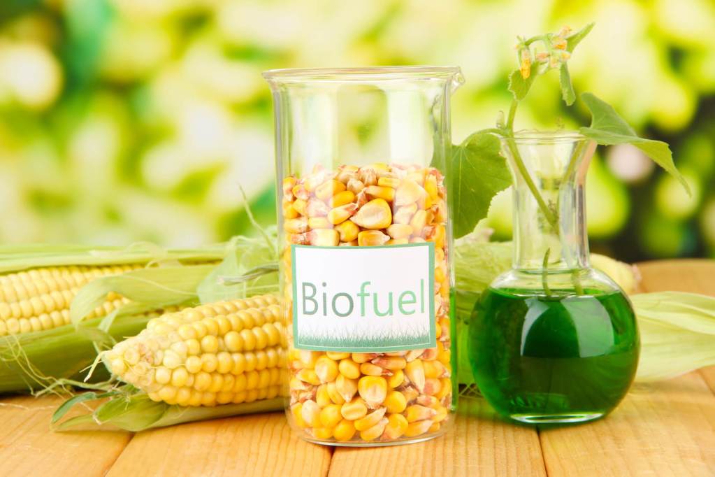 What Are Biofuels and How Do They Work?