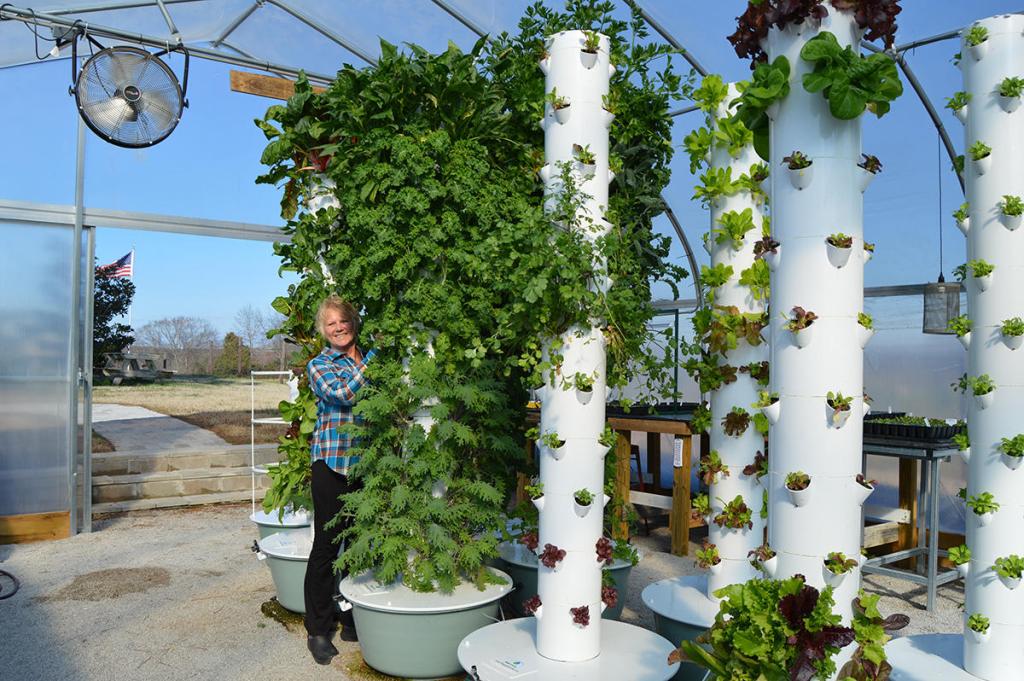 Vertical Farming and Community Gardens