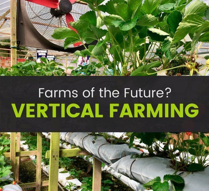Vertical Farming Trends for the Next Decade
