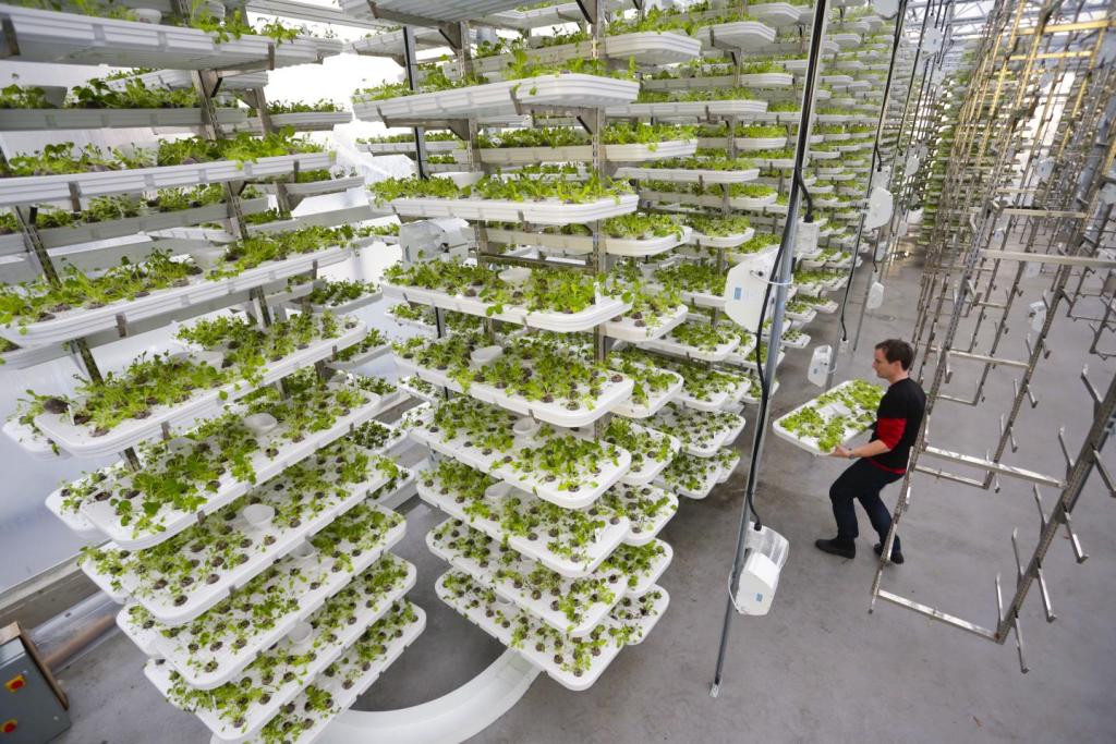 Vertical Gardens and the Future of Sustainable Agriculture