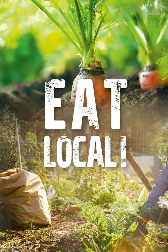 Vertical Farming: Challenging Conventional Agriculture Practices