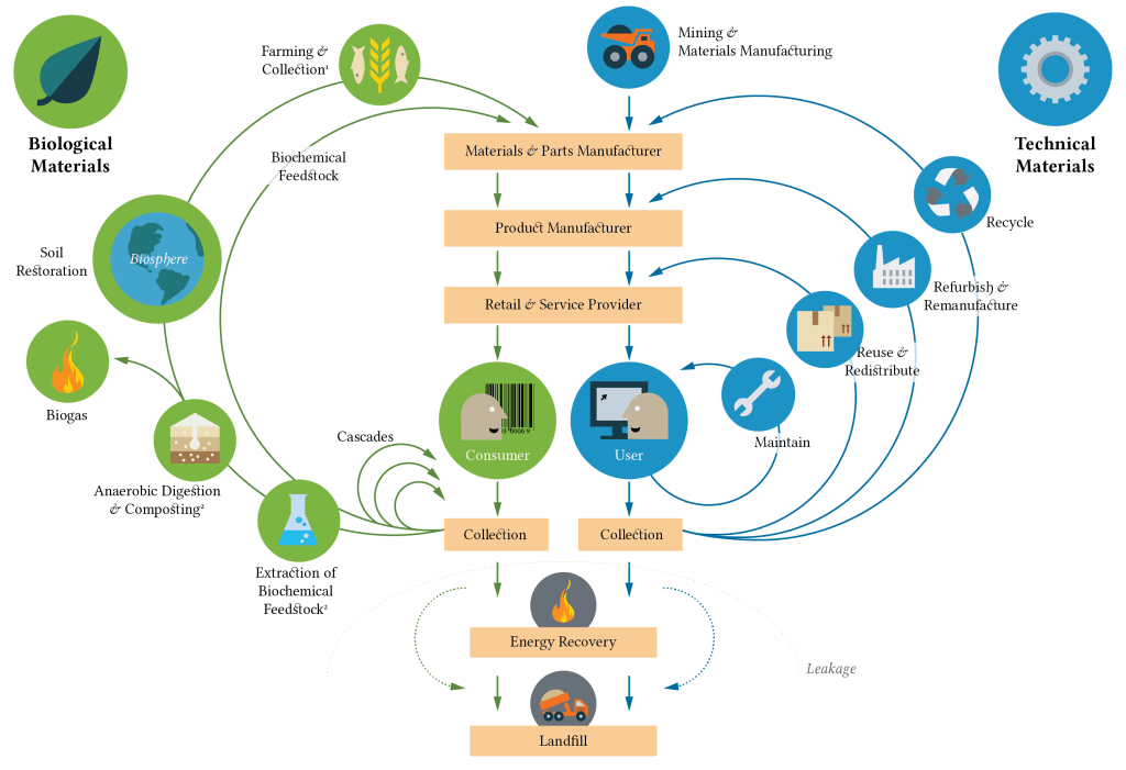 Vertical Farming and the Circular Economy of Agriculture