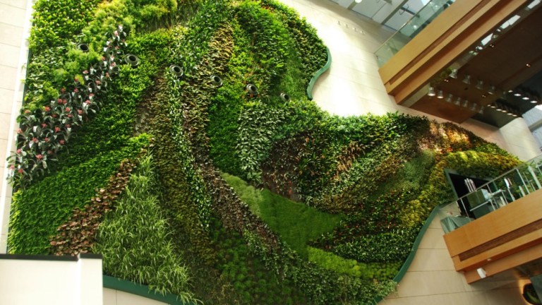 The Cultural Significance of Vertical Gardens in Different Societies