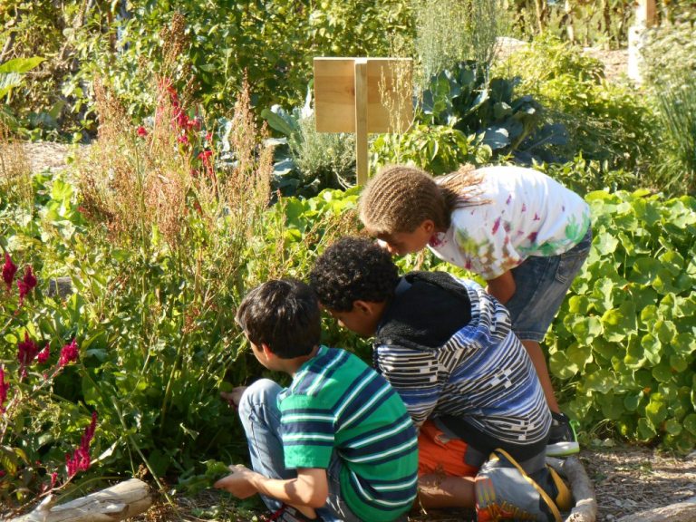 Vertical Gardens in Educational Settings: Cultivating Young Minds