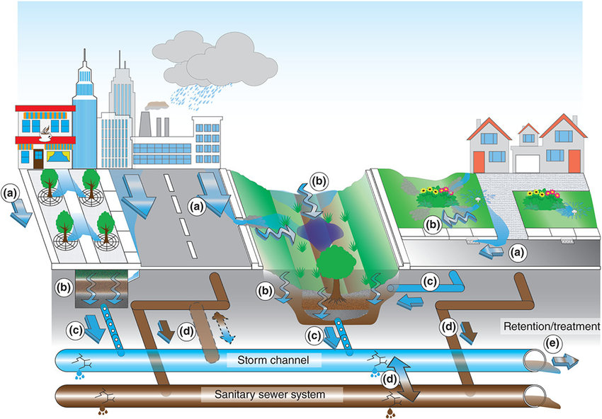 Beyond the Pipe: The Future of Wastewater Transportation