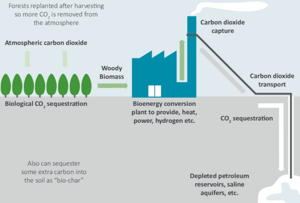 Carbon Sequestration and Biofuels
