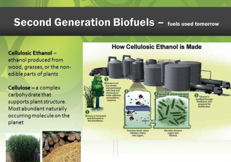 Synthetic Biology and Biofuel Production