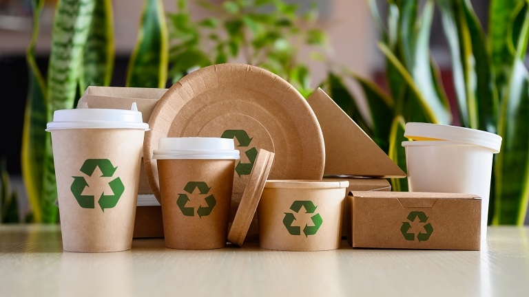 Sustainable Packaging Solutions and Their Impact on Waste