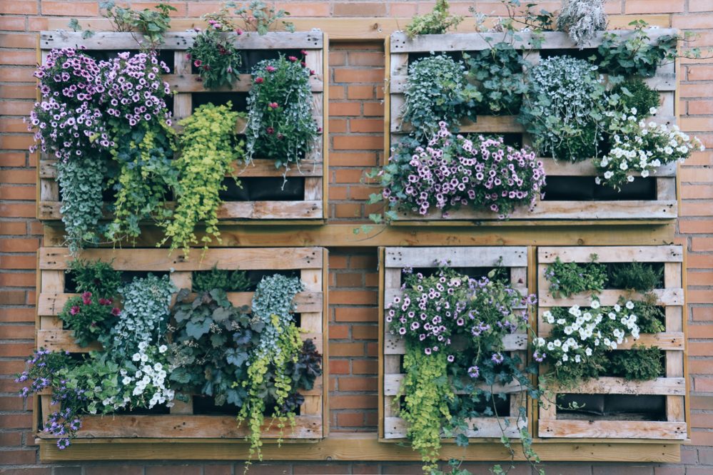 The Science of Vertical Gardening: Why Plants Thrive in Vertical Spaces