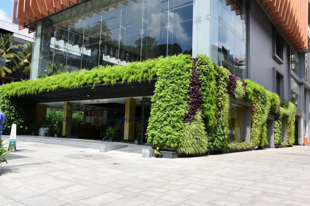 How Vertical Gardens Contribute to Biodiversity Conservation