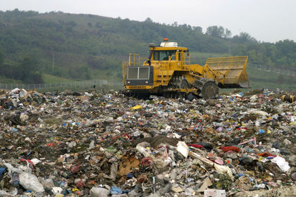 WtE and Biodiversity Conservation in Landfill Reclamation