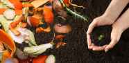 Composting A Sustainable Way To Manage Organic Waste Composting A Sustainable Way To Manage Organic Waste