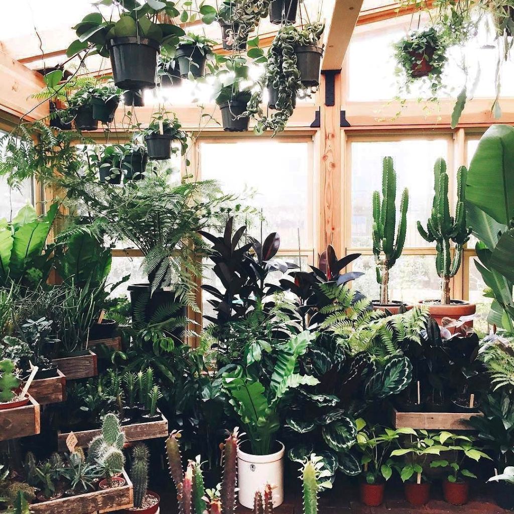 Vertical Gardens and the Philosophy of Slow Living