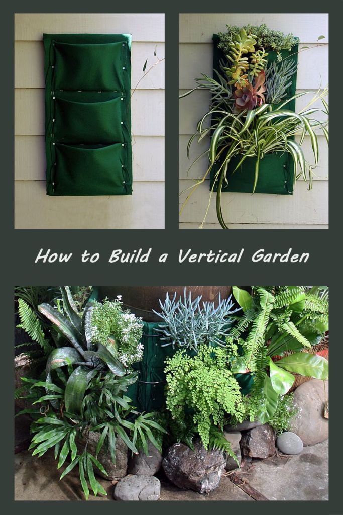 Step-by-Step Guides for Building Your Vertical Garden
