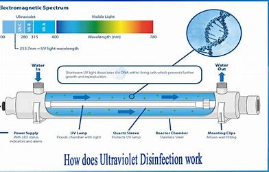 Ultraviolet (UV) Disinfection in Wastewater Treatment
