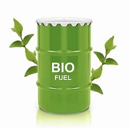Leading the Way: Pioneers in Sustainable Biofuel Production