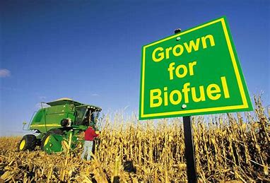 Rethinking Agriculture for Biofuel Sustainability: A Thought Leader's Guide