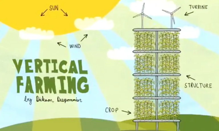 Vertical Farming's Role in Reducing Food Waste