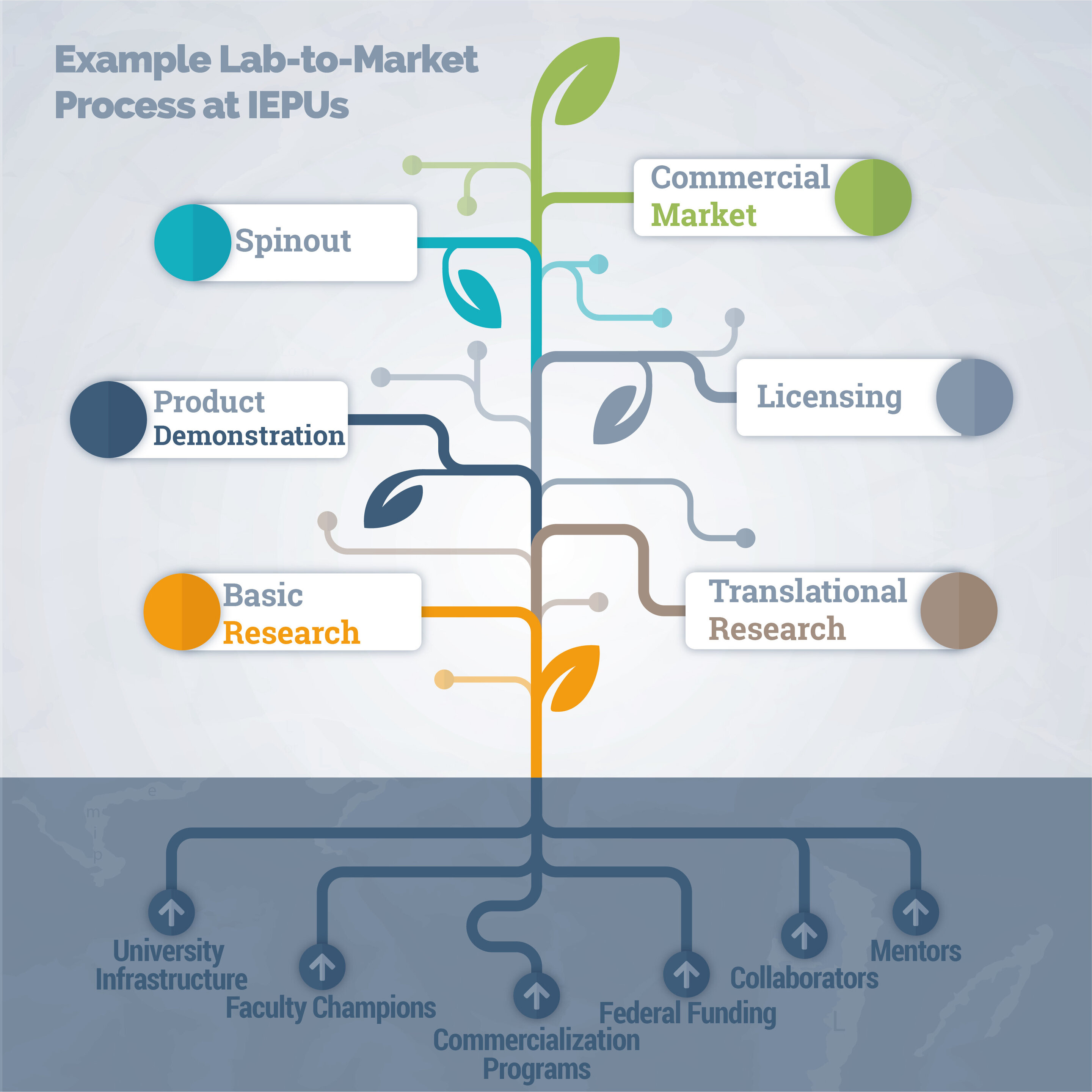 From Lab to Market: A Thought Leader's Journey in Biofuel Entrepreneurship