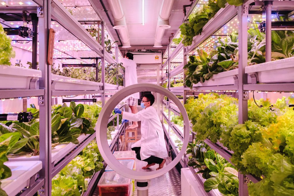The Role of Vertical Farms in a Post-Pandemic Food System