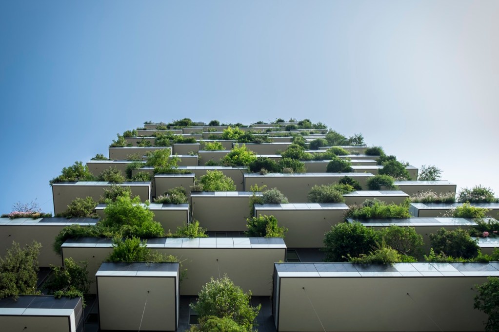 Vertical Gardens: Bridging the Gap Between Nature and Architecture