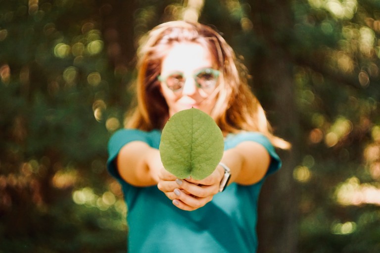 Is 2024 for Global Sustainability?
