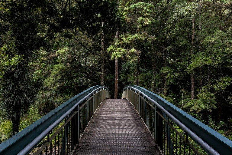 Apple 400M for Saving the Rainforest