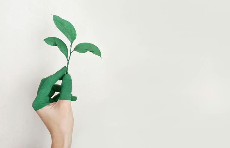 The Latest Breakthroughs in Sustainable Living That You Need to Know