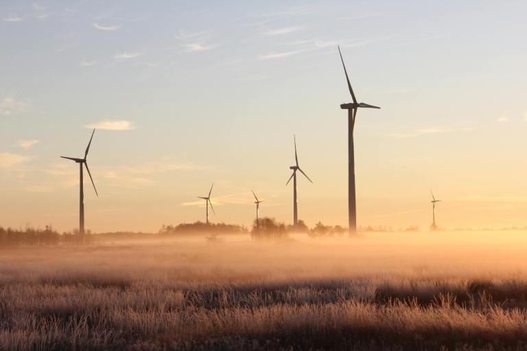 Top Eco-Friendly Power