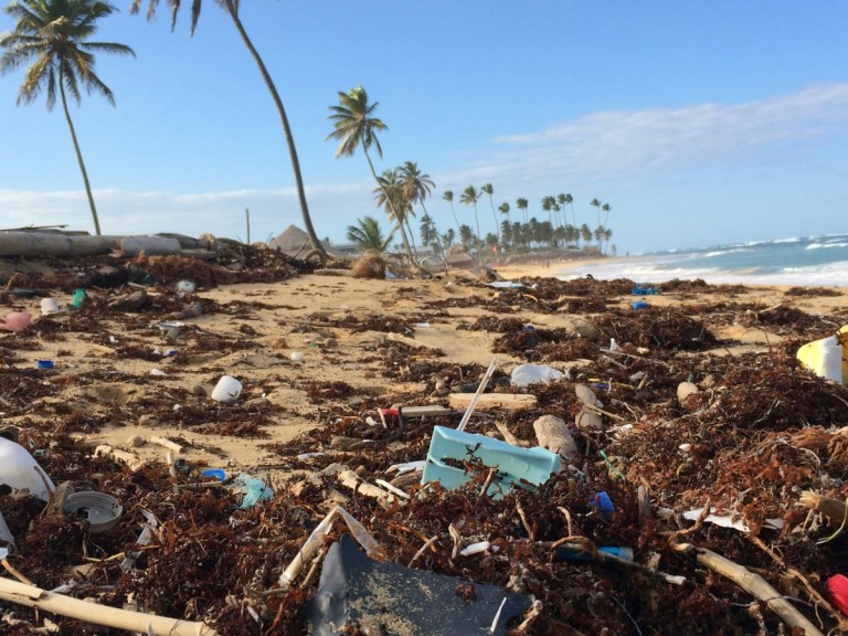 The World Drowns in Trash