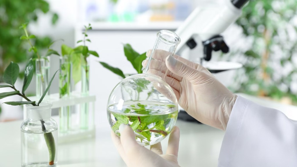 Estée Lauder Companies' Green Revolution!