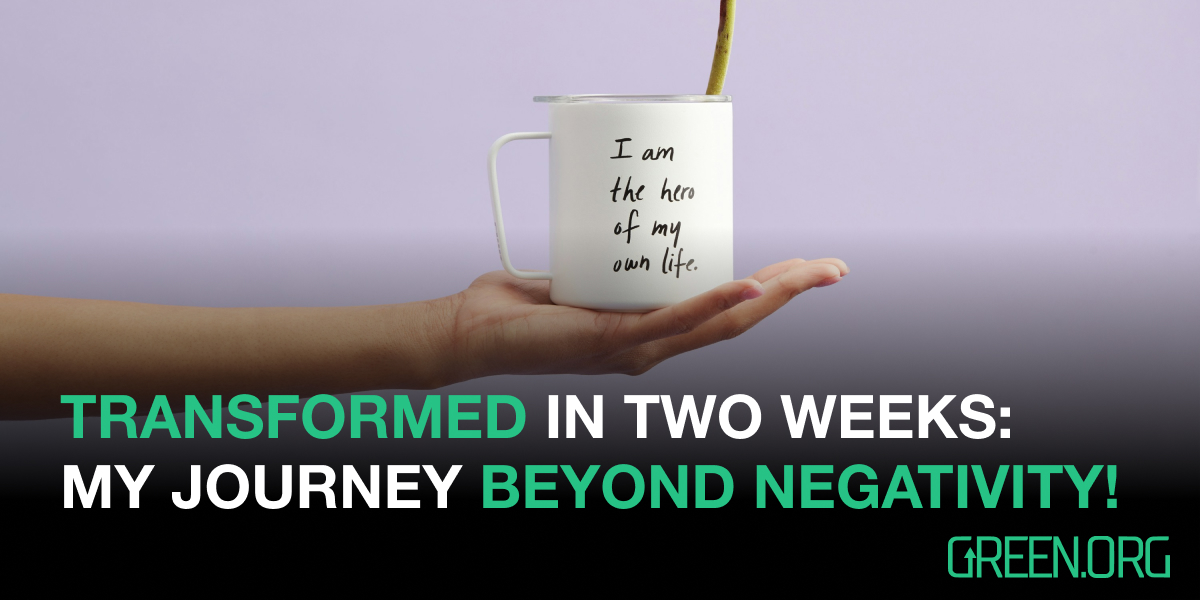 How I Transformed My Life in Two-Weeks by Giving Up Negativity