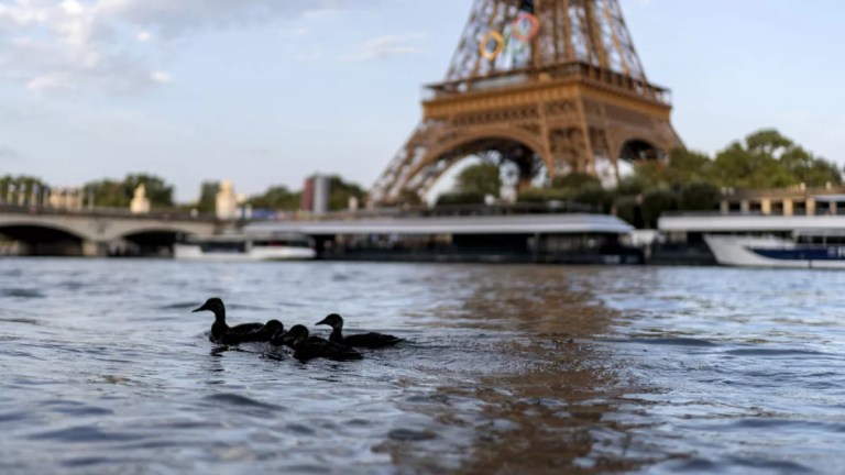 Paris Olympics vs. Nature: The Shocking Impact on Local Wildlife