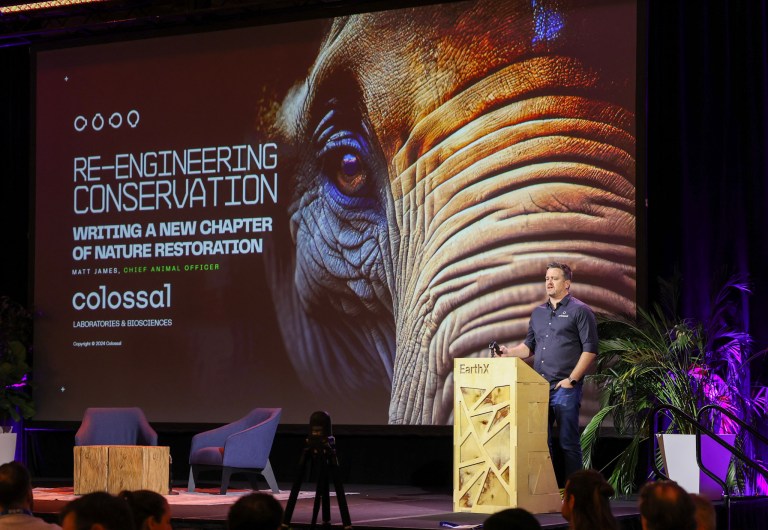 The Ultimate Guide for Sustainability and Climate Tech Events in 2025