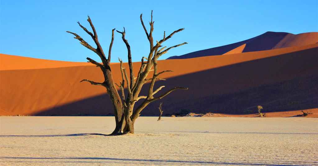 Breathtaking view of a dead tree against Namib Desert dunes at Deadvlei, Namibia.