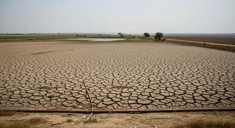 Global Water and Food Crisis